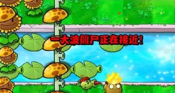 植物大战僵尸攻略