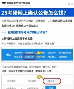 复核