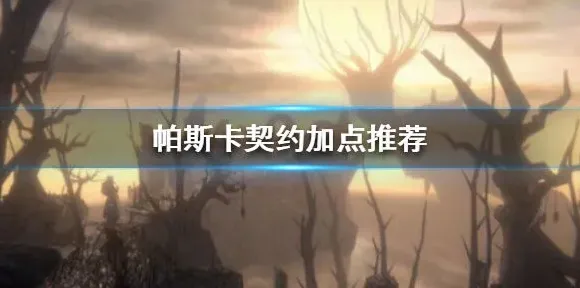 帕斯卡契约加点