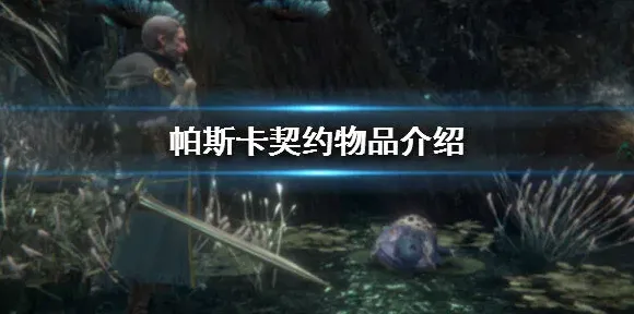 帕斯卡契约物品