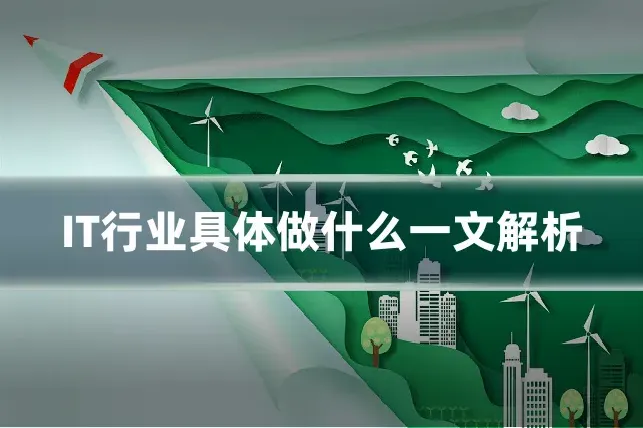 IT行业具体做什么一文解析
