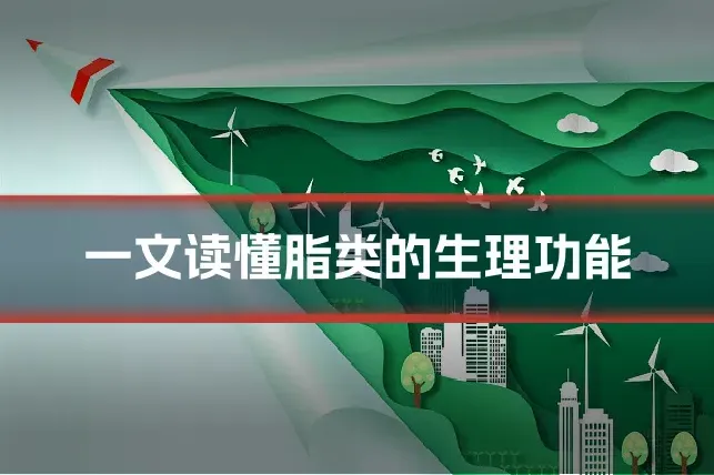 一文读懂脂类的生理功能