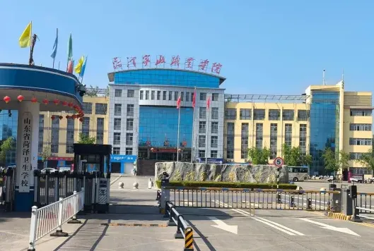 专业