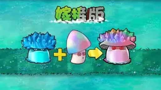 《植物大战僵尸》魅惑寒冰菇使用教程