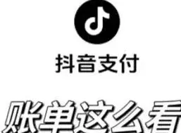 抖音总金额