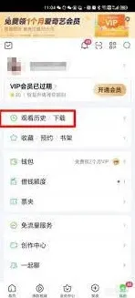 爱奇艺观看历史