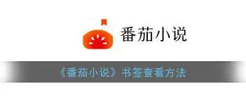 番茄小说影视小说
