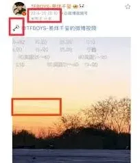 微博动态