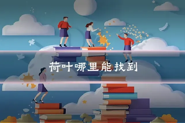 荷叶哪里能找到