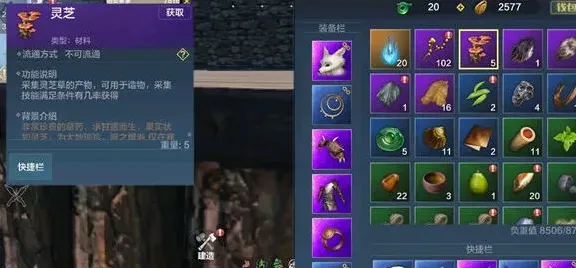 妄想山海海灵芝