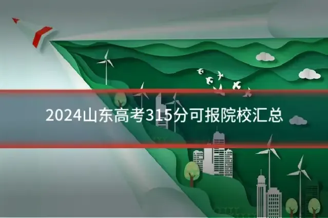 2024山东高考315分可报院校汇总