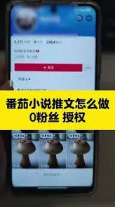 番茄小说如何投稿