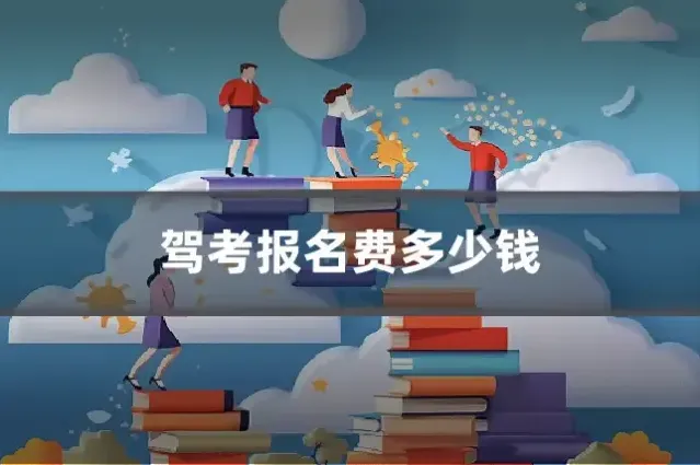 驾考报名费多少钱