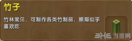 一路熊猫