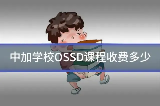 中加学校OSSD课程收费多少