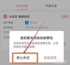 哔哩哔哩大会员