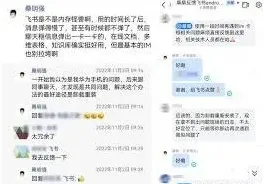 飞书视频播放
