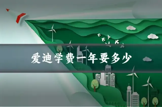 爱迪学费一年要多少