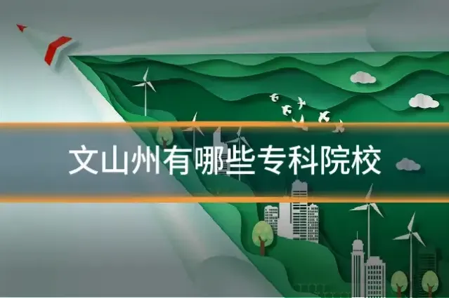 文山州有哪些专科院校