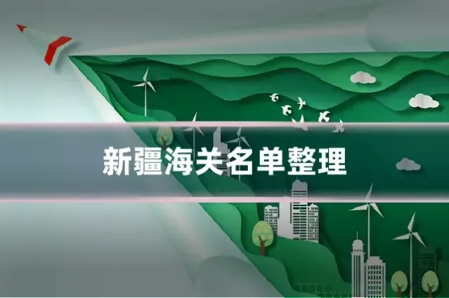 新疆海关名单整理