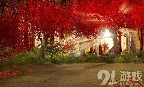 活下去无处不在