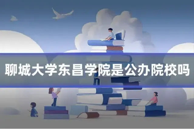 聊城大学东昌学院是公办院校吗