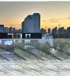 学院