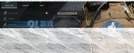 使命召唤食腐鸟