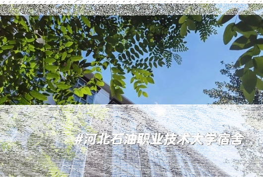 河北工业大学