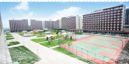 幼儿师范