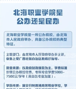 实训