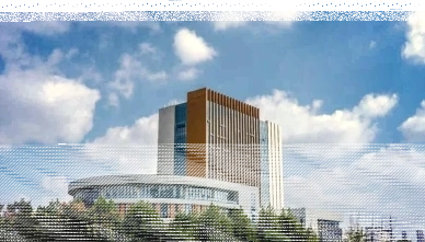 学校
