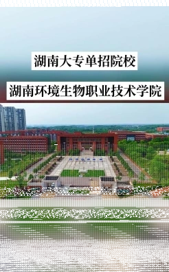 学院