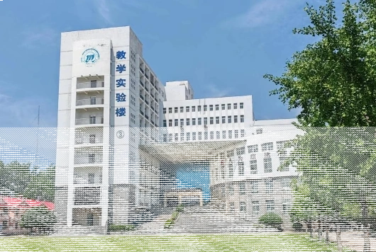 学校