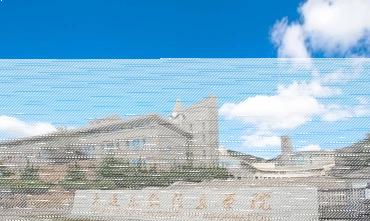 教学成果