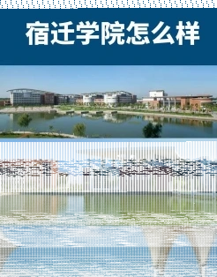 学校