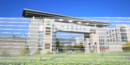 学院