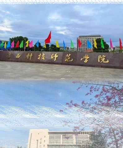 专任教师