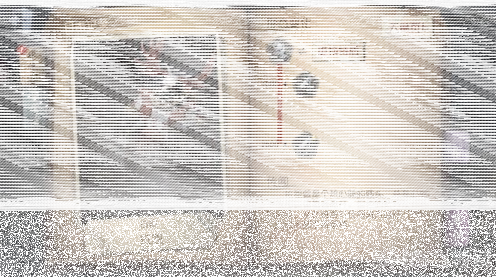 第五人格图鉴