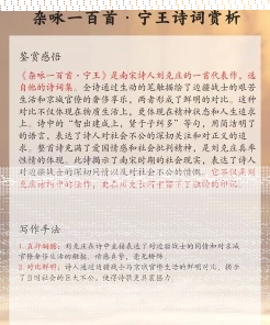宁辞