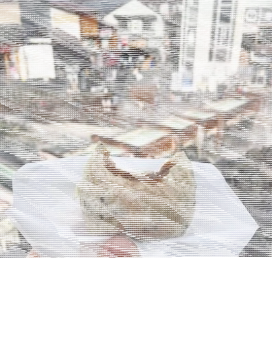旅行青蛙图鉴