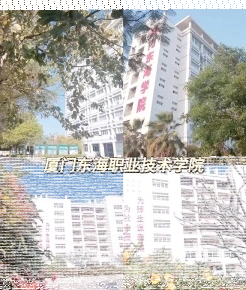 学院