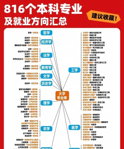专业人员
