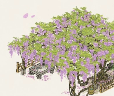 江南百景图紫藤花怎么得 获得技巧分享