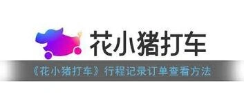 微信小猪
