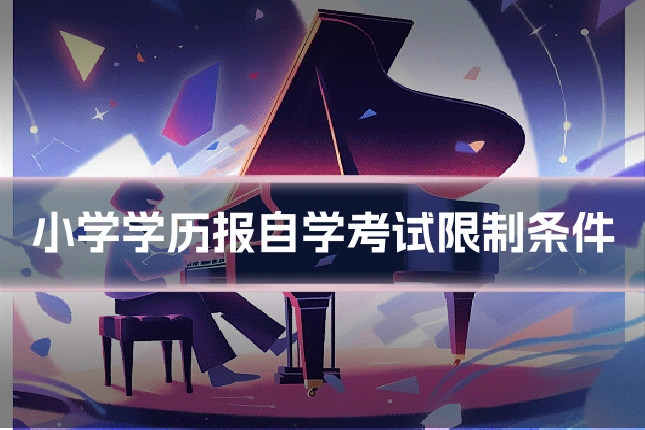 小学学历报自学考试限制条件