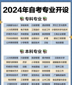 本科段