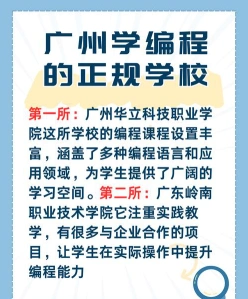 编程教育