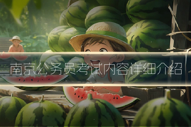 南京公务员考试内容详细介绍