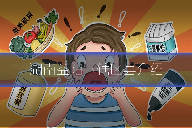 湖南益阳下辖区县介绍